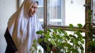 تنهایی؛ تهدیدی جدید برای سلامت مغز زنان در آغاز یائسگی