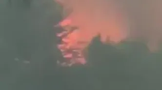 آتش‌سوزی مهیب در ایالت جورجیا آمریکا