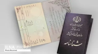 بیش از ۴ میلیون ایرانی نام و القاب امام رضا (ع) را دارند