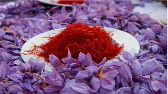 رشد ۲ تا ۳ درصدی قیمت زعفران