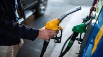 تنوع در سبد سوخت؛ راهکار اصلی کاهش مصرف انرژی