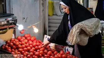 گوجه فرنگی گران شد؟/ قیمت‌های جدید گوجه فرنگی، پیاز و سیب‌زمینی