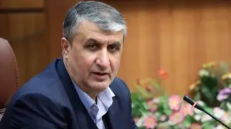 رییس سازمان انرژی اتمی روز ملی ارتش را تبریک گفت