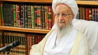 نظر آیت‌الله العظمی مکارم‌شیرازی درباره تشرف به حج امسال