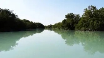 تالاب حله بوشهر دوباره جان گرفت