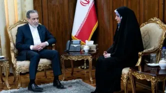 دیدار مهدیه اسفندیاری شهروند ایرانی با عراقچی