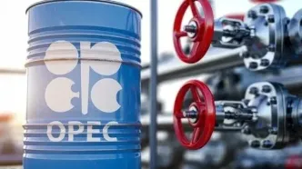 رسما امارات از اوپک خارج می‌شود