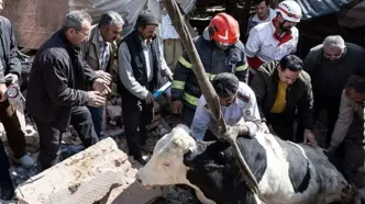 تصاویری از خسارات واحدهای دامداری و تجاری در تبریز