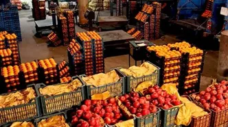 بهبود بازار گوجه فرنگی؛ عرضه با نرخ کیلویی ۷۰ هزارتومان