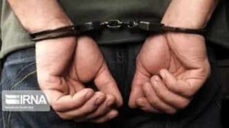 دستگیری عامل شبکه‌های معاند در تهران