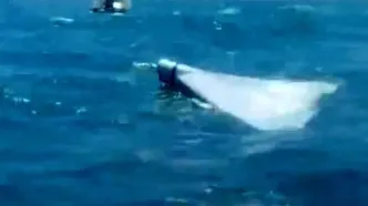 سرنگونی یک پهپاد انتحاری در منطقه سیریک توسط سپاه پاسداران