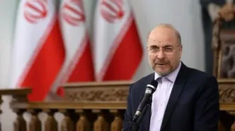 افتخار می‌کنم که یکی از ۳۰ میلیون جانفدا هستم