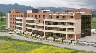 یک گروه جدید اینترنت آزاد دریافت کردند