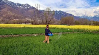 مجله تایم: ادامه جنگ در خلیج فارس جهان را به گرسنگی می‌کشاند