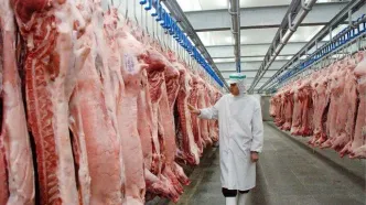 قیمت گوشت قرمز امروز ۹ اردیبهشت ۱۴۰۵ + جدول