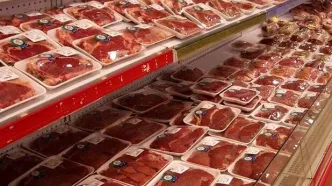 آغاز رسمی ثبت سفارش واردات گوشت منجمد از امروز + جزئیات