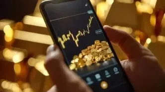 پناهی برای مدیریت دارایی