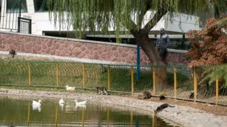 از امروز تهران خنک می‌شود