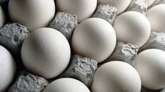 علت گرانی قیمت تخم‌مرغ در بازار چیست؟