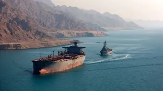 استاد حقوق بین‌الملل: ایران حق کسب درآمد از تنگه هرمز را دارد