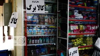 خبر مهم عضو کمیسیون کشاورزی درباره کالابرگ/ رقم کالابرگ چقدر بیشتر می‌شود؟