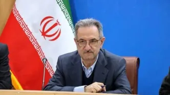 ایران آماده میزبانی موج بزرگ گردشگران خارجی می‌شود/ مسیر شکوفایی گردشگری هموار شده است