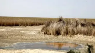 لزوم استمرار ورود آب به تالاب هورالعظیم برای جلوگیری از آتش سوزی