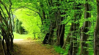 بهره‌کشی از جنگل‌های هیرکانی
