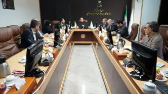 تشریح اقدامات نظارتی سازمان بازرسی در اجرای قانون جوانی جمعیت/ بانک‌ها بیش از ۱۰۶ درصد سهمیه ابلاغی را پرداخت کرده‌اند