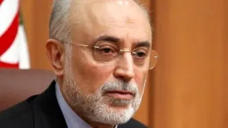 علی لاریجانی یک دولتمرد واقعی بود