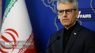 بقایی: «مذاکره» نیازمند جدیت و حسن نیت است