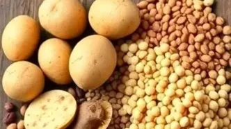 آیا محدودیت صادرات سیب زمینی برداشته شد؟