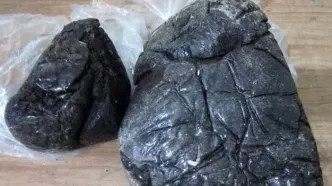 از کشف تریاک در مراغه تا تنباکوی قاچاق در هشترود