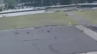 حمله کانگورو به پاراگلایدر پس از فرود
