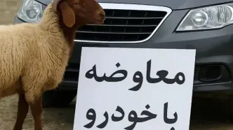 مبادله کالا با کالا راه افتاد؛ بازار عجیب معاوضه گوسفند و سیم کارت با خودرو در ایران/ عکس