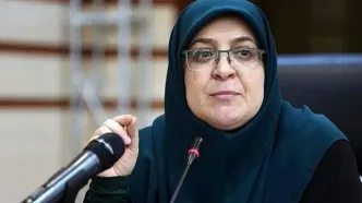 سخنگوی دولت: آغوش میهن همیشه برای ایرانیان خارج از کشور باز است