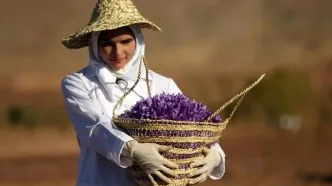 قیمت زعفران در بازار چقدر است؟