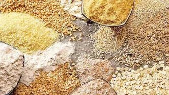 جدول قیمت نهاده های دامی امروز یکشنبه ۲۰ اردیبهشت ماه ۱۴۰۵