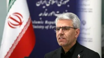 واکنش بقایی به اعتراف ترامپ به دزدی دریایی