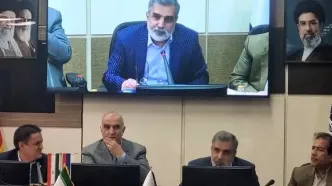 پروتکل ساخت راکتورهای کوچک با روسیه به‌زودی نهایی می‌شود