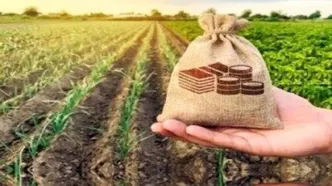 پوشش بیمه جدید برای این گروه از افراد همراه با جزییات