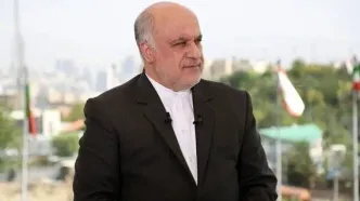 سفیر پیشین ایران در لبنان: امارات بازنده بزرگ منطقه است
