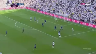 ویدیو: خلاصه بازی تاتنهام 1 - اورتون 0
