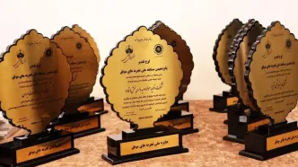 نشان افتخار جشنواره ملی بهره‌وری برای «دی‌دار»/ بیمه دی بر سکوی نخست تحول دیجیتال