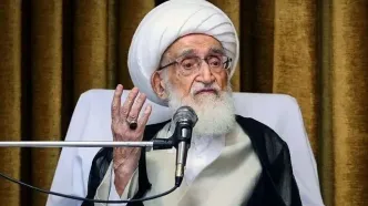 آیت الله نوری همدانی: نباید در تجمعات ذره‌ای بوی اختلاف باشد