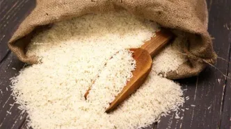 خبر جدید درباره بازار برنج/ حسامی: بازار هنوز افزایش قیمت شدید و خارج از کنترل نداشته است