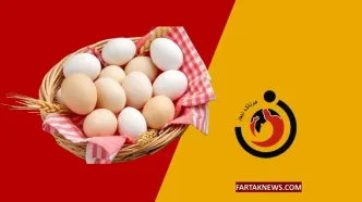 قیمت تخم‌مرغ امروز دوشنبه ۲۱ اردیبهشت ۱۴۰۵ + جدول کامل