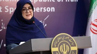 واکنش سخنگوی دولت به شایعه استعفای پزشکیان