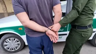 کشف ۲۶۴ قبضه سلاح جنگی و شکاری