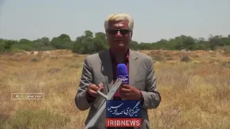 ویدئو؛ لاشه پهپاد اسرائیلی در هرمزگان‌